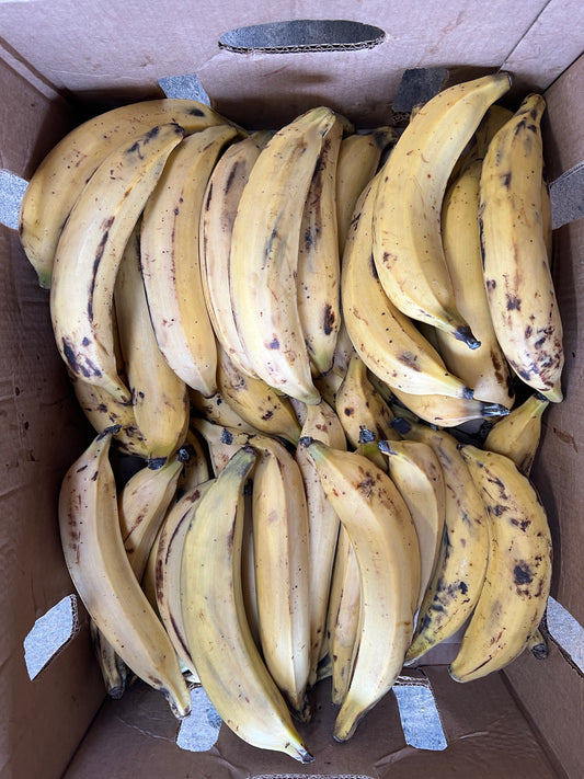 Yellow Plantains