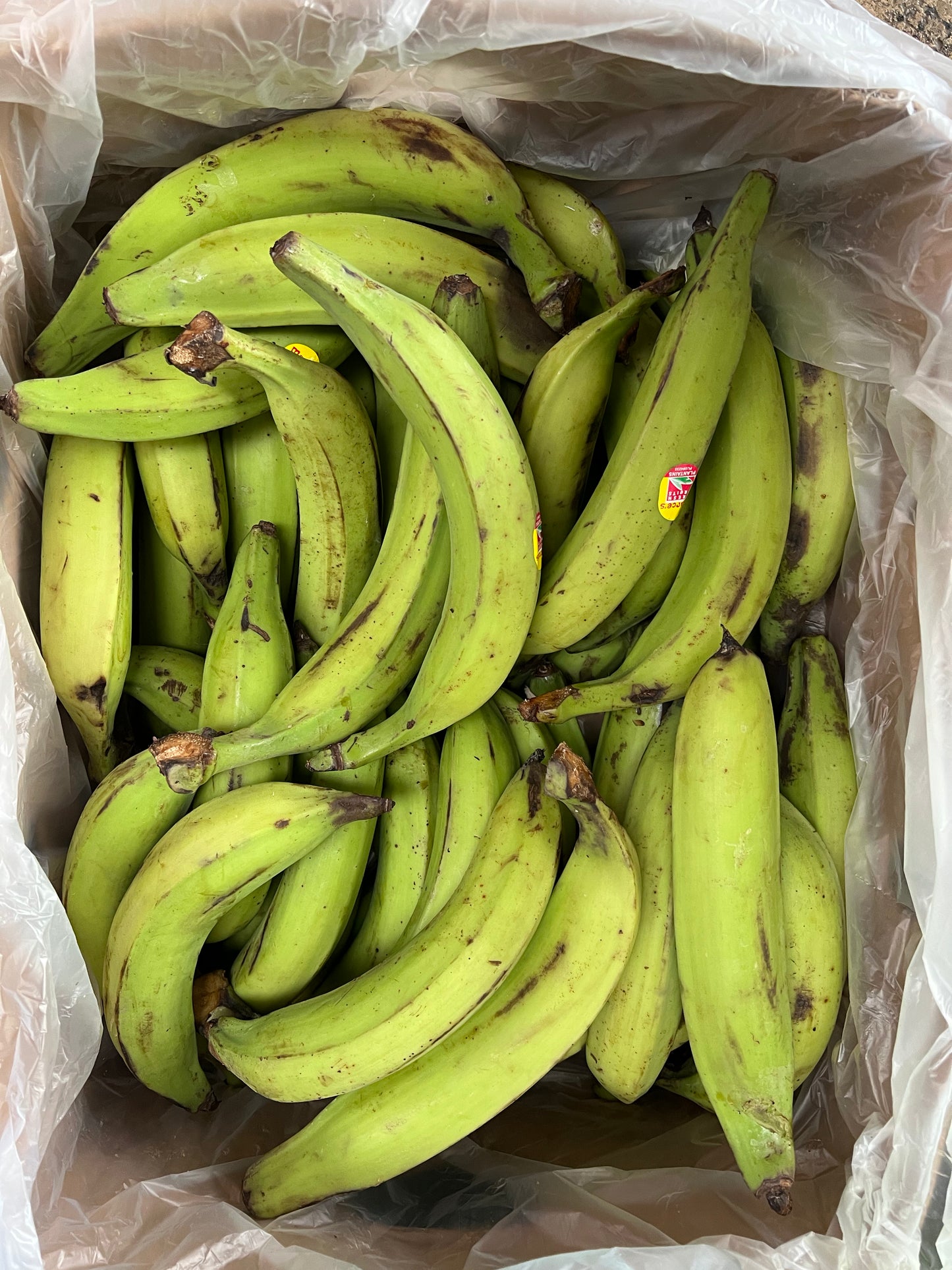 Green Plantains