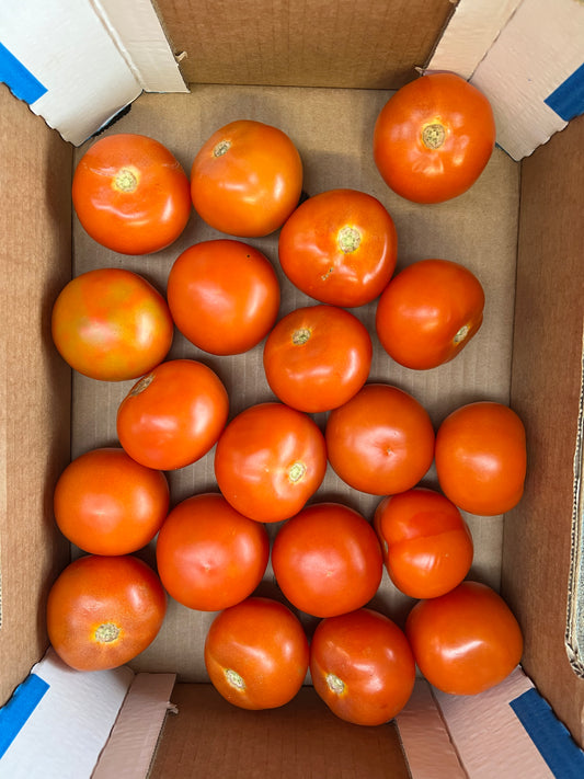 Tomatoes